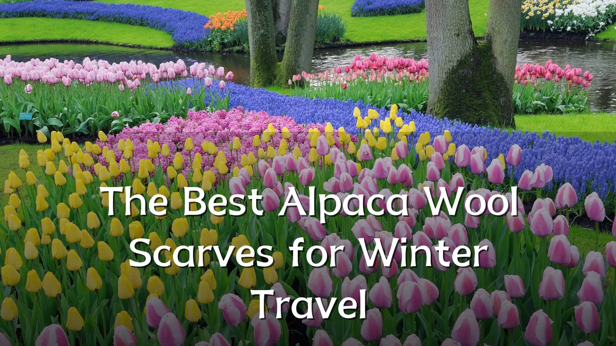 The Best Alpaca Wool Scarves for Winter Travel