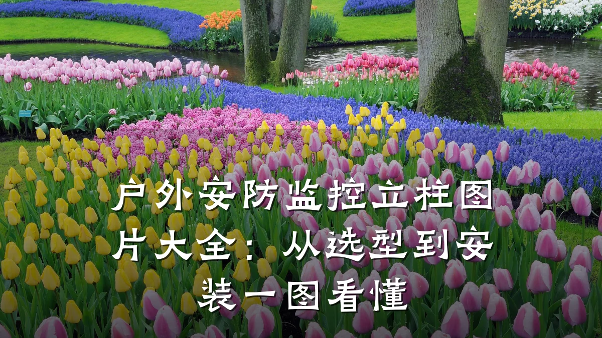 户外安防监控立柱图片大全：从选型到安装一图看懂