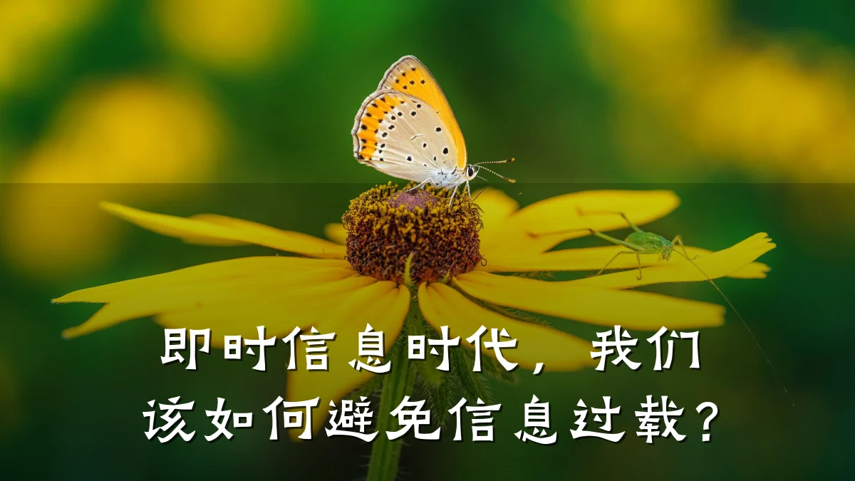 即时信息时代，我们该如何避免信息过载？