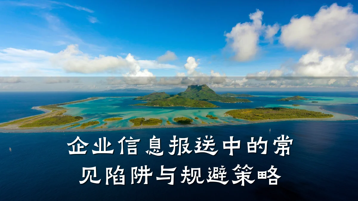 企业信息报送中的常见陷阱与规避策略