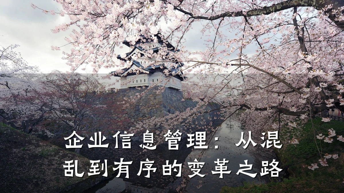 企业信息管理:从混乱到有序的变革之路