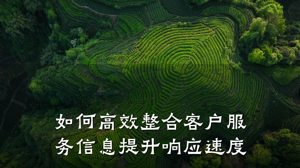 如何高效整合客户服务信息提升响应速度