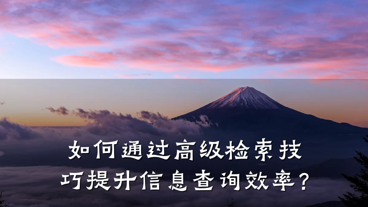 如何通过高级检索技巧提升信息查询效率？