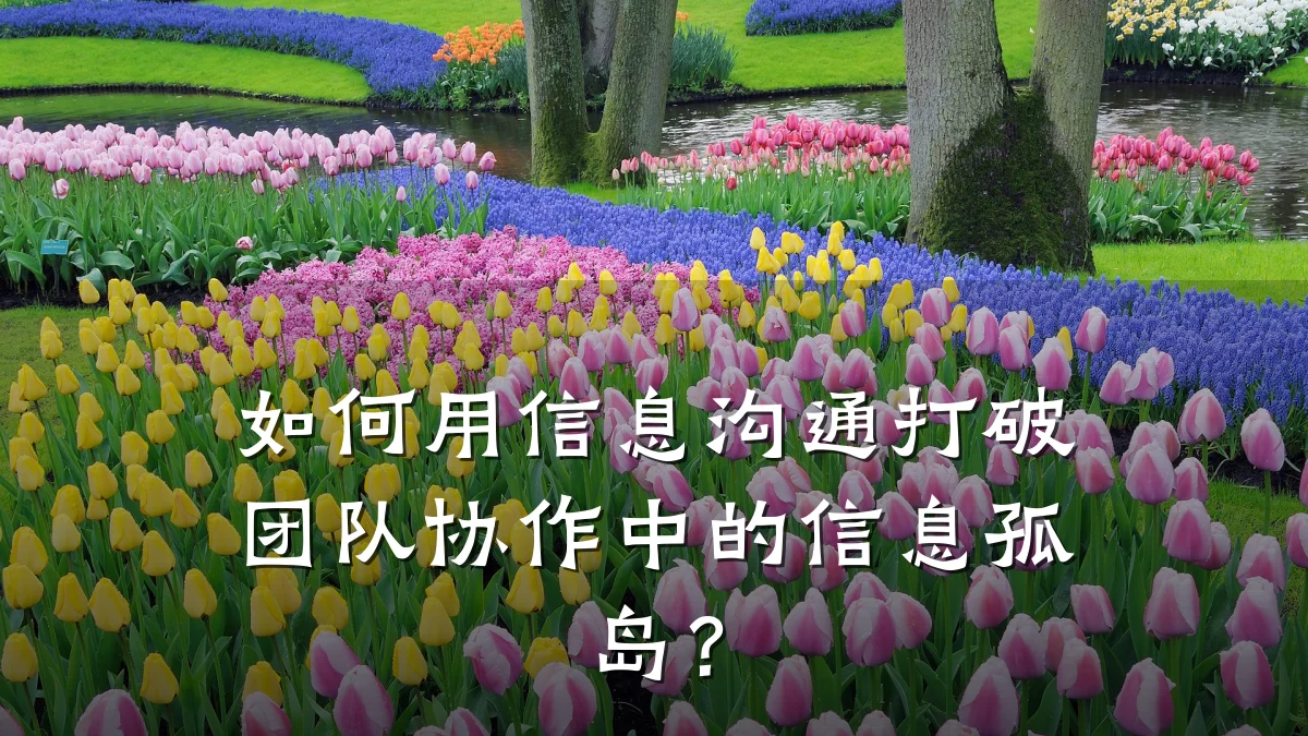 如何用信息沟通打破团队协作中的信息孤岛?
