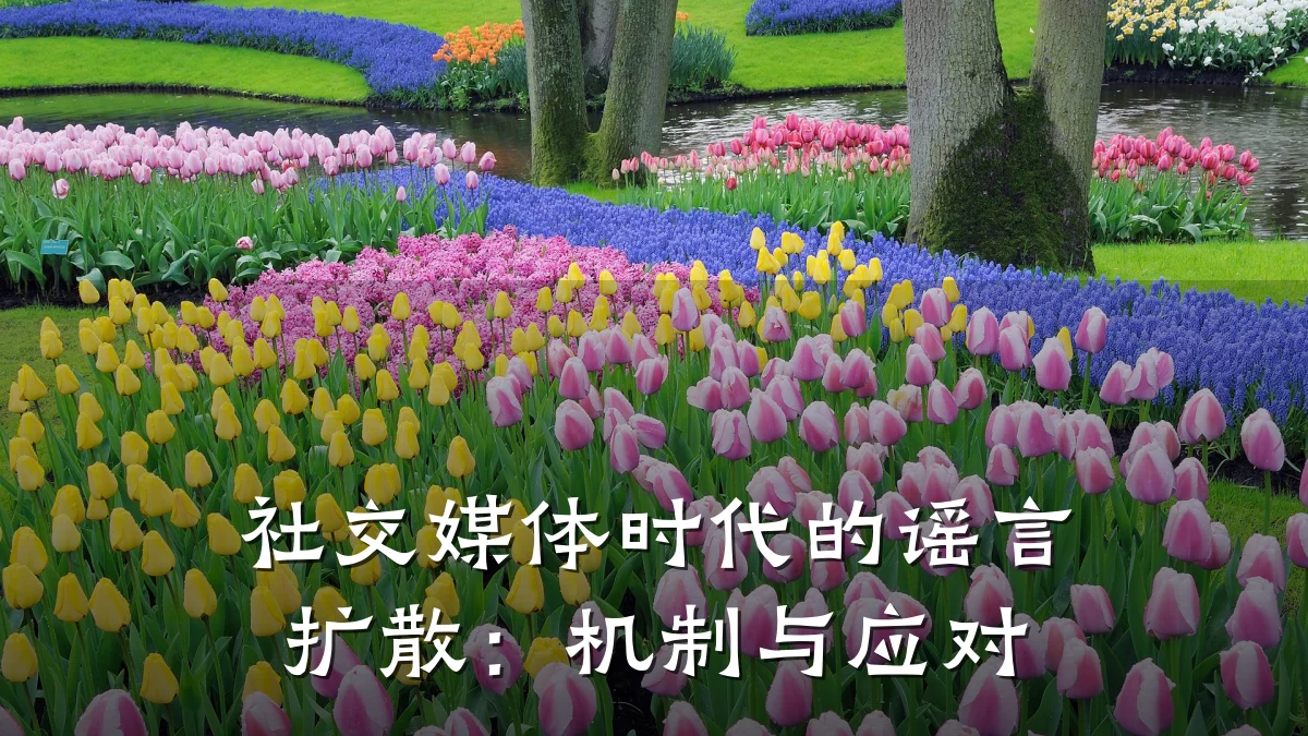 社交媒体时代的谣言扩散:机制与应对