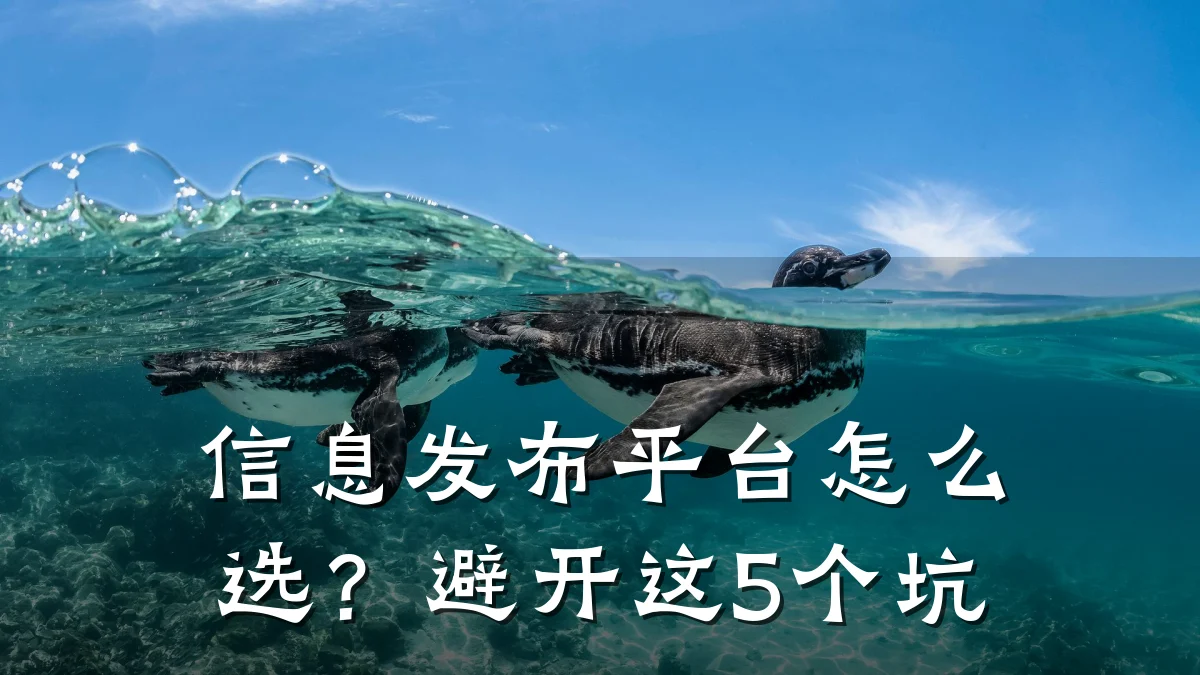 信息发布平台怎么选?避开这5个坑