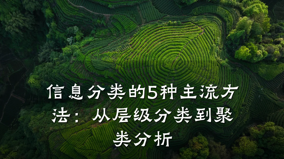 信息分类的5种主流方法：从层级分类到聚类分析