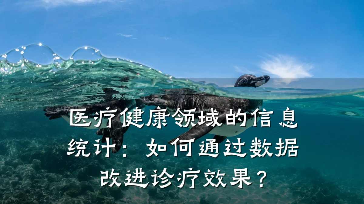 医疗健康领域的信息统计:如何通过数据改进诊疗效果?
