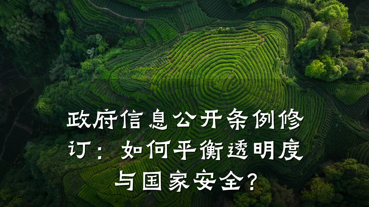 政府信息公开条例修订：如何平衡透明度与国家安全？