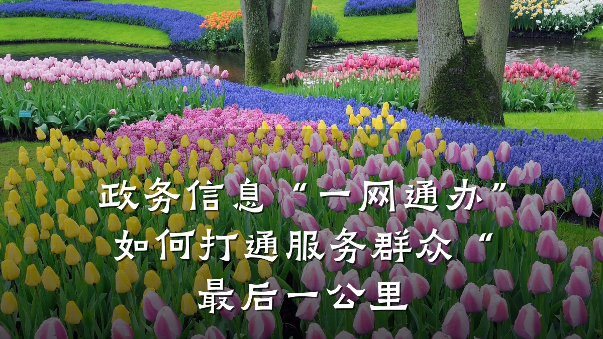 政务信息“一网通办”如何打通服务群众“最后一公里