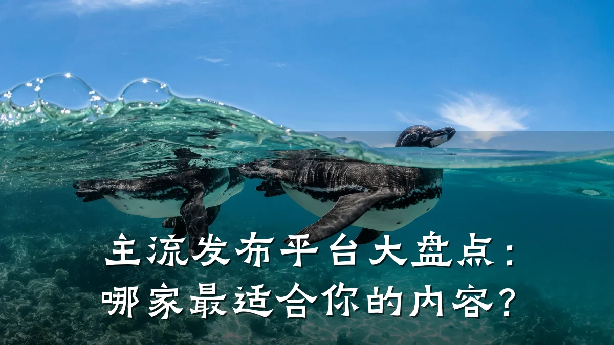 主流发布平台大盘点：哪家最适合你的内容？