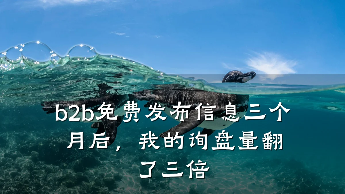 b2b免费发布信息三个月后，我的询盘量翻了三倍