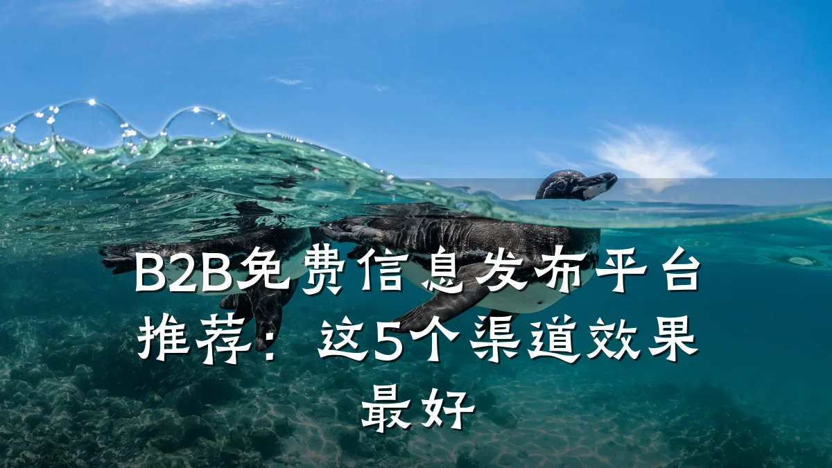 B2B免费信息发布平台推荐:这5个渠道效果最好