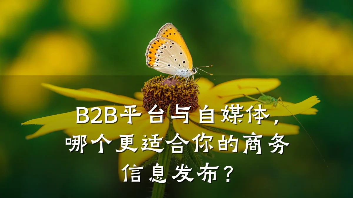 B2B平台与自媒体,哪个更适合你的商务信息发布?
