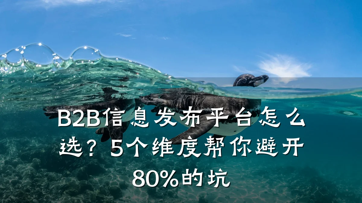B2B信息发布平台怎么选？5个维度帮你避开80%的坑