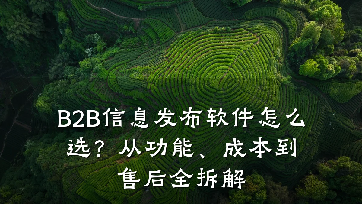 B2B信息发布软件怎么选?从功能、成本到售后全拆解