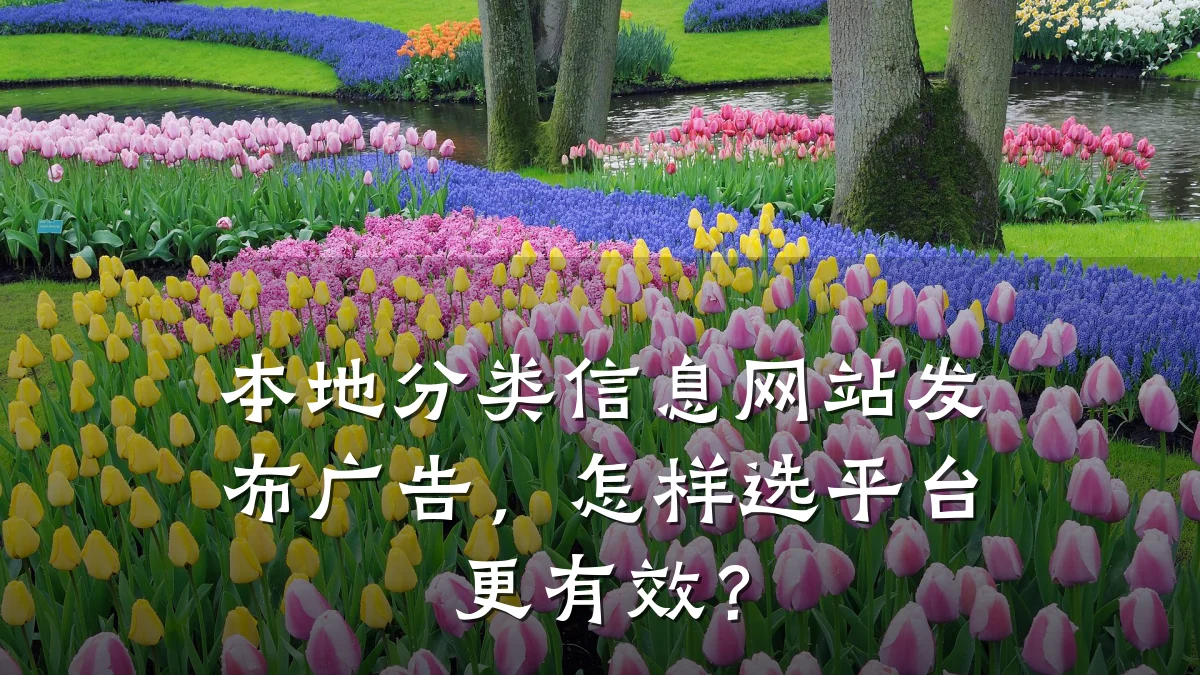 本地分类信息网站发布广告，怎样选平台更有效？