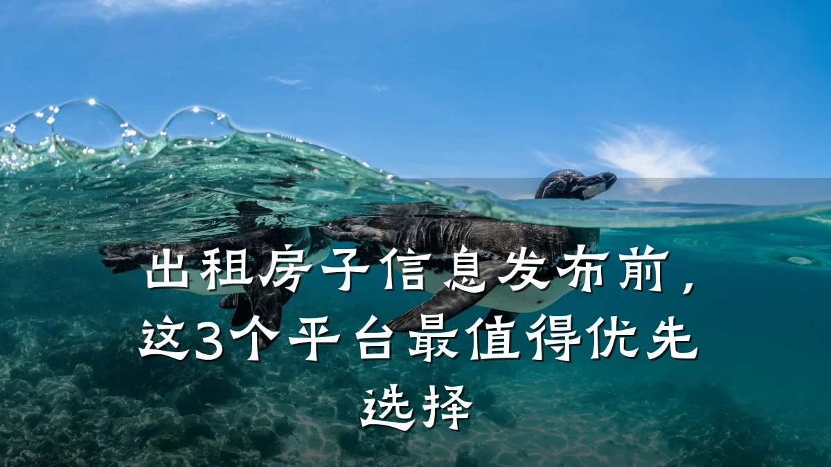 出租房子信息发布前,这3个平台最值得优先选择