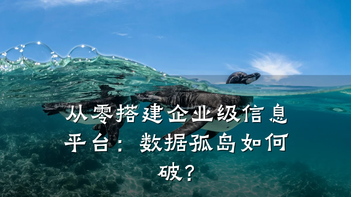从零搭建企业级信息平台：数据孤岛如何破？