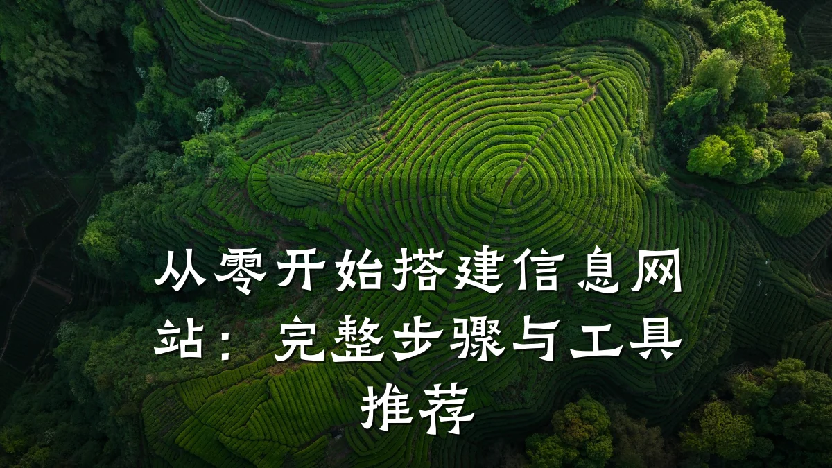 从零开始搭建信息网站：完整步骤与工具推荐