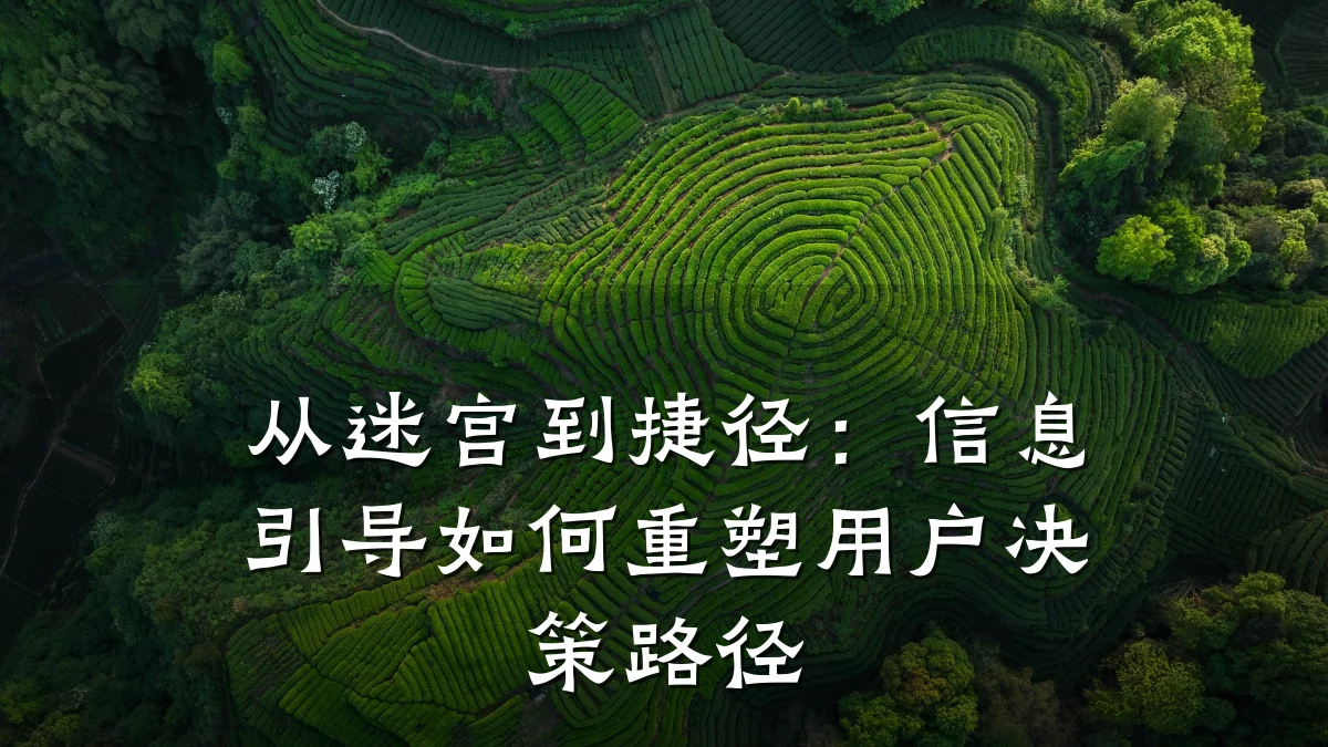 从迷宫到捷径：信息引导如何重塑用户决策路径