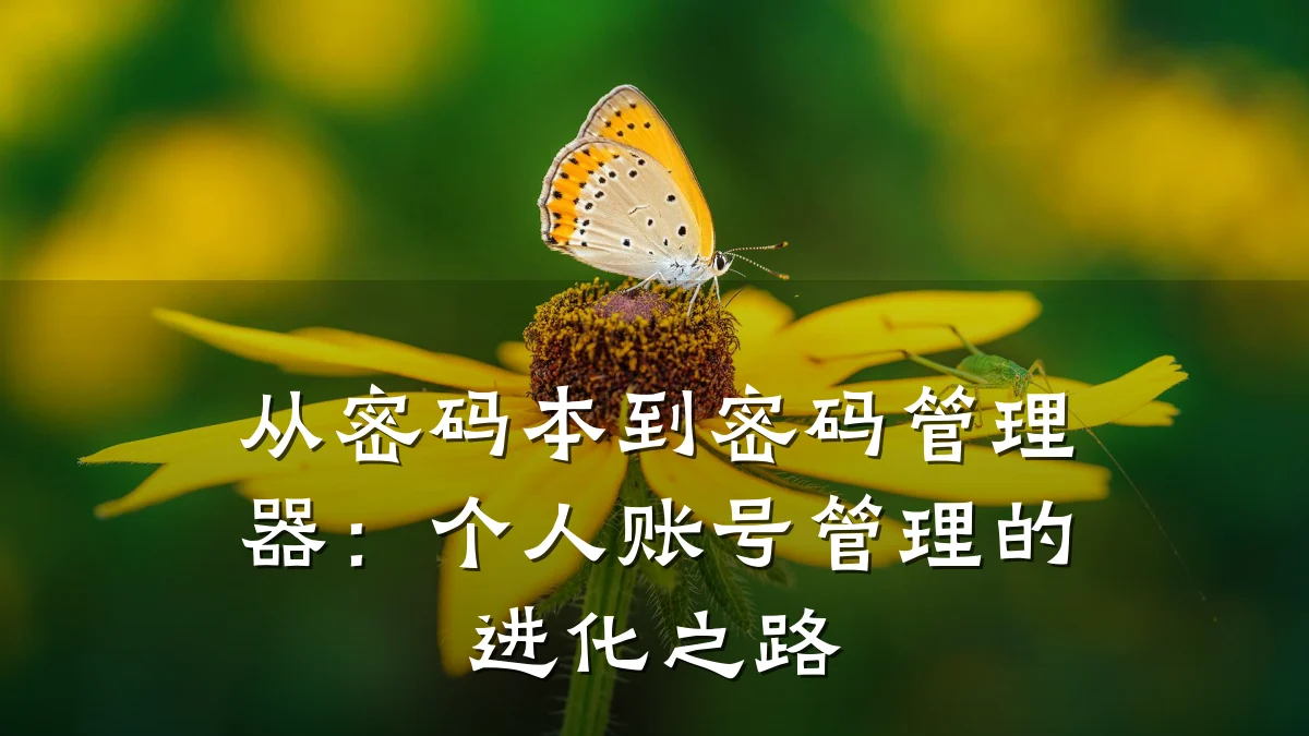 从密码本到密码管理器：个人账号管理的进化之路