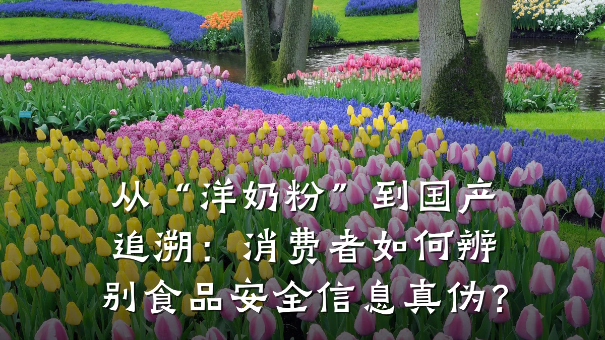从“洋奶粉”到国产追溯:消费者如何辨别食品安全信息真伪?
