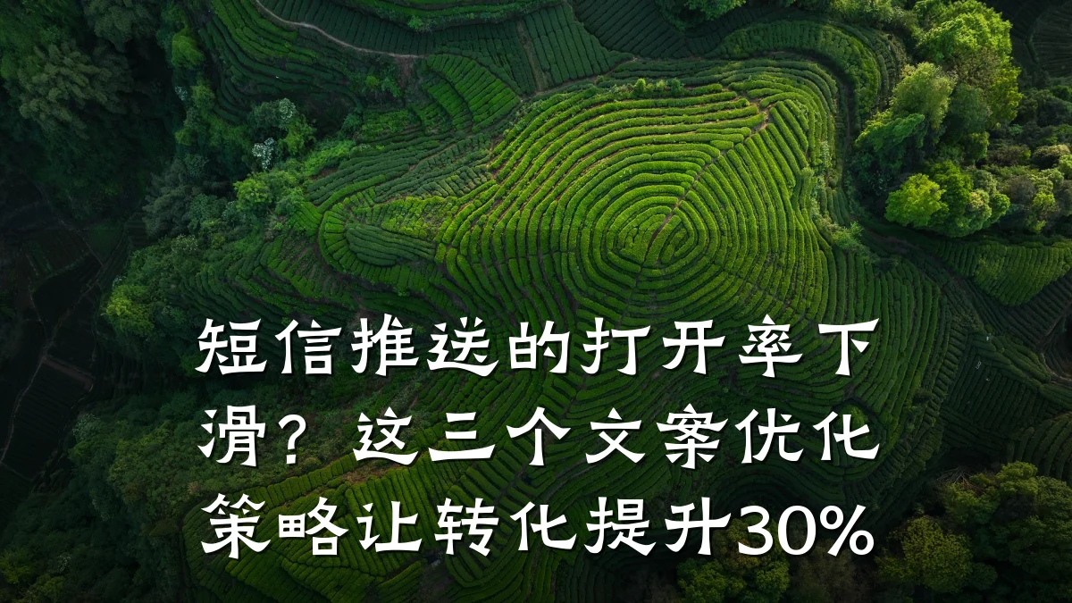 短信推送的打开率下滑？这三个文案优化策略让转化提升30%