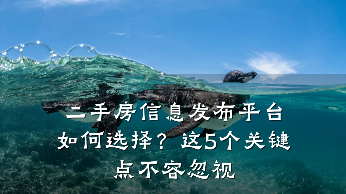 二手房信息发布平台如何选择?这5个关键点不容忽视