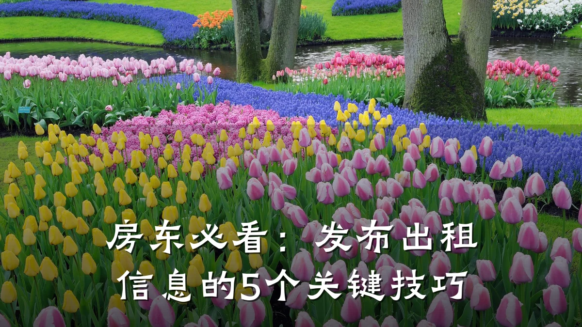 房东必看：发布出租信息的5个关键技巧