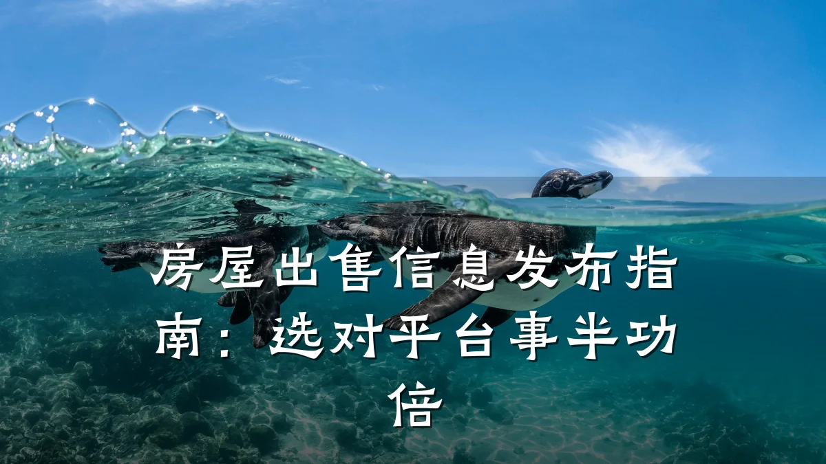 房屋出售信息发布指南：选对平台事半功倍