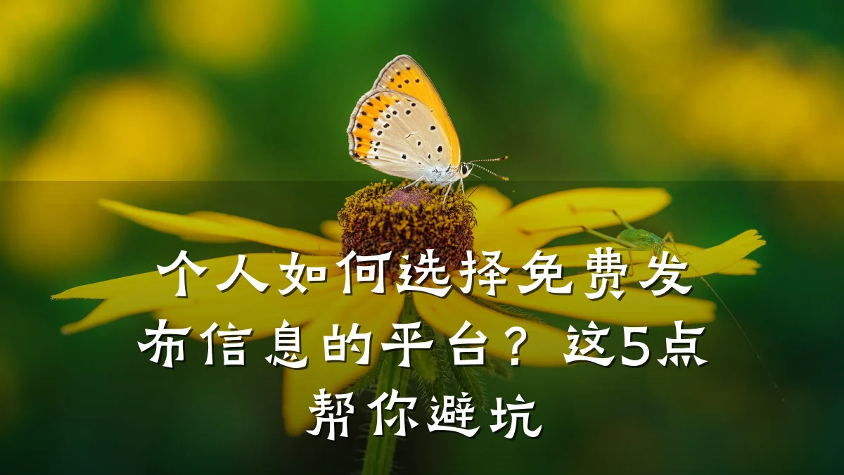 个人如何选择免费发布信息的平台?这5点帮你避坑