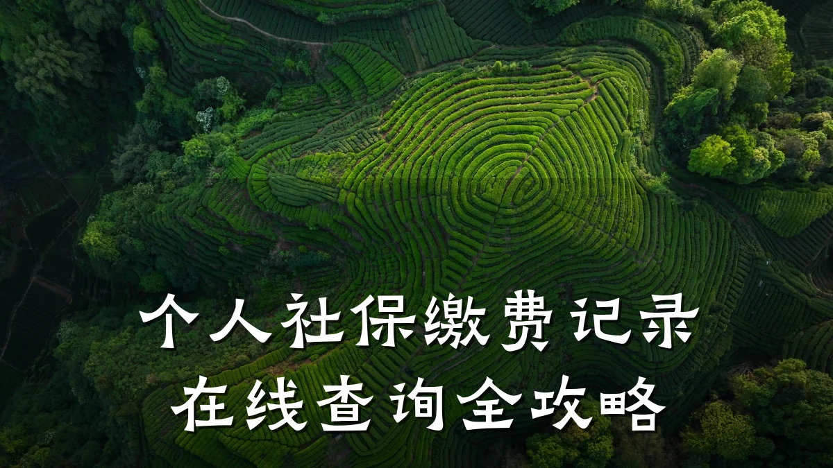 个人社保缴费记录在线查询全攻略