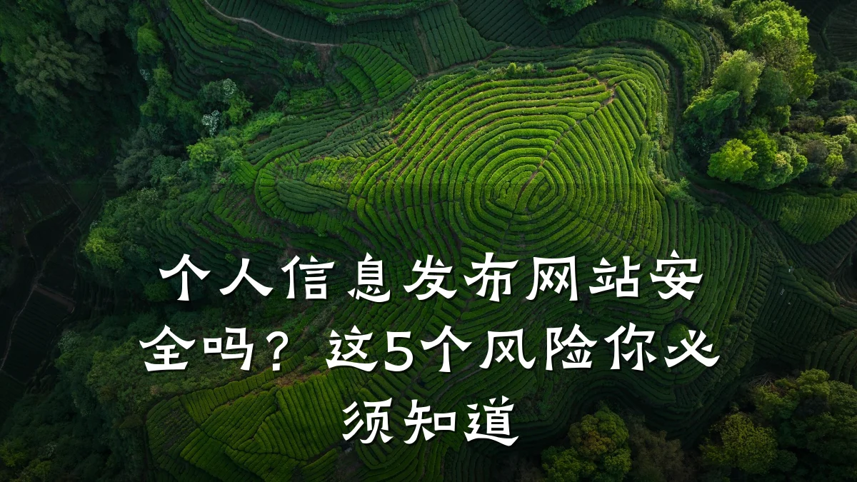 个人信息发布网站安全吗?这5个风险你必须知道