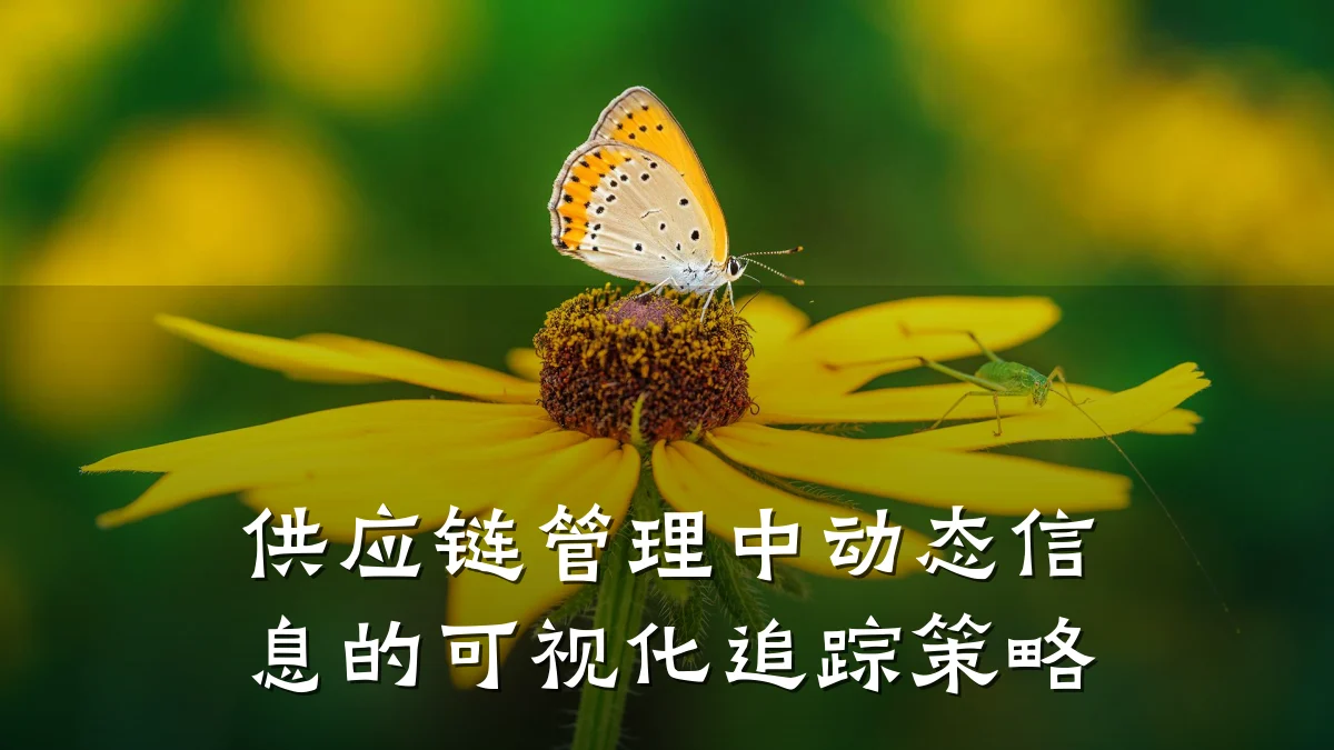 供应链管理中动态信息的可视化追踪策略