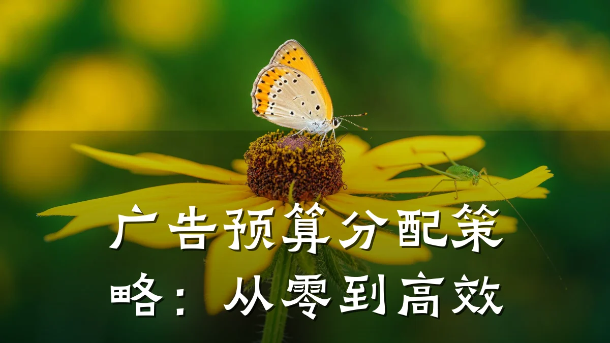广告预算分配策略:从零到高效