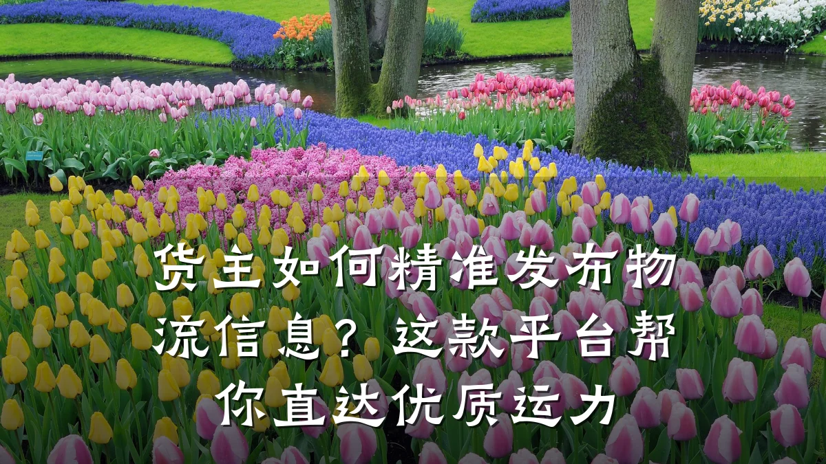 货主如何精准发布物流信息?这款平台帮你直达优质运力