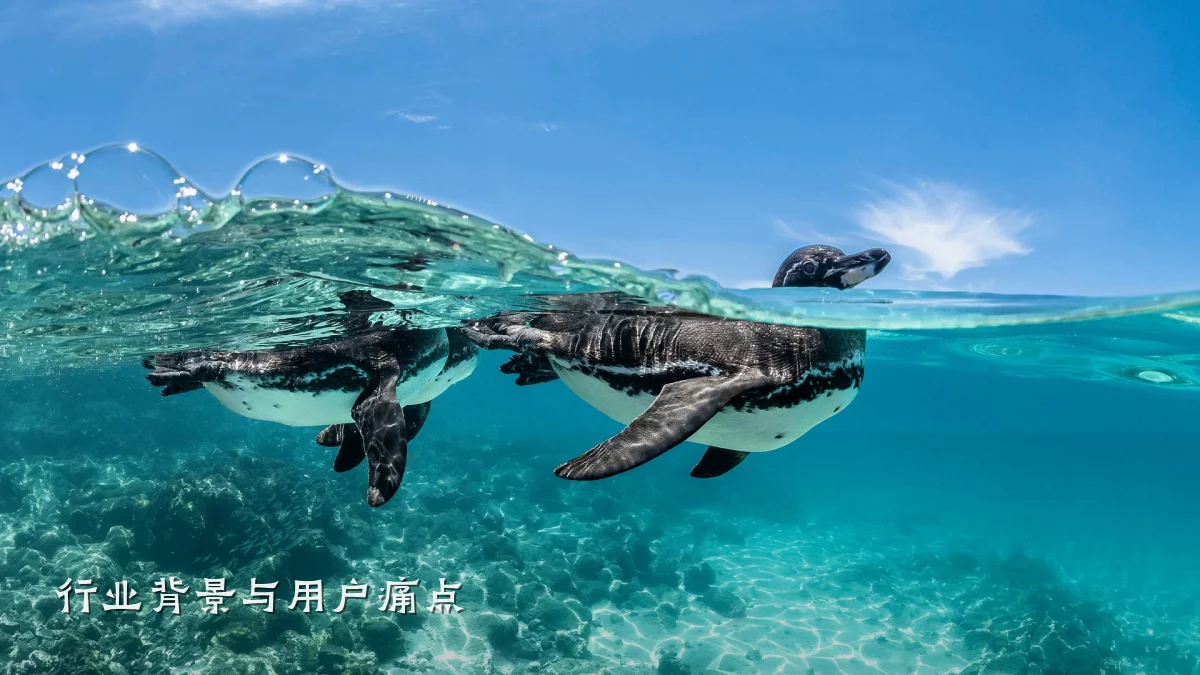行业背景与用户痛点