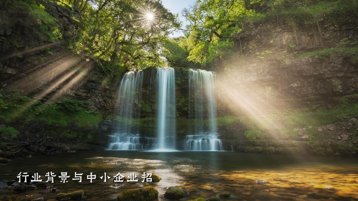 行业背景与中小企业招