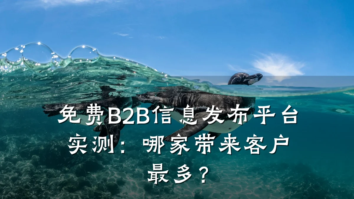 免费B2B信息发布平台实测:哪家带来客户最多?