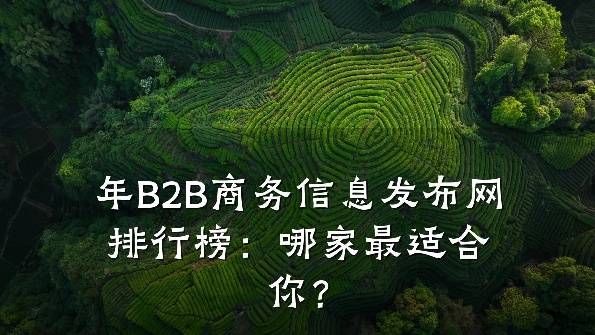 年B2B商务信息发布网排行榜:哪家最适合你?