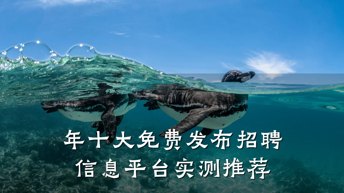 年十大免费发布招聘信息平台实测推荐