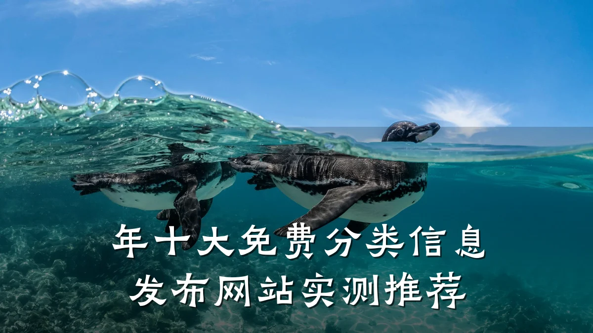 年十大免费分类信息发布网站实测推荐
