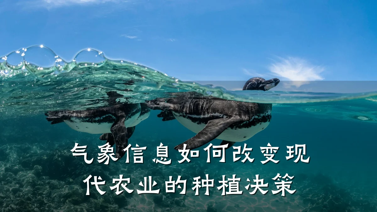 气象信息如何改变现代农业的种植决策