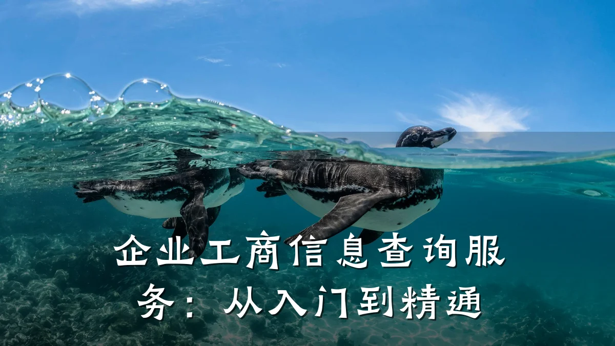 企业工商信息查询服务：从入门到精通