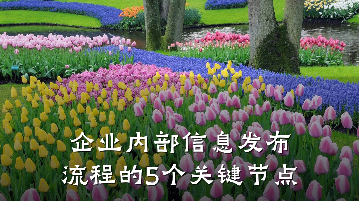 企业内部信息发布流程的5个关键节点