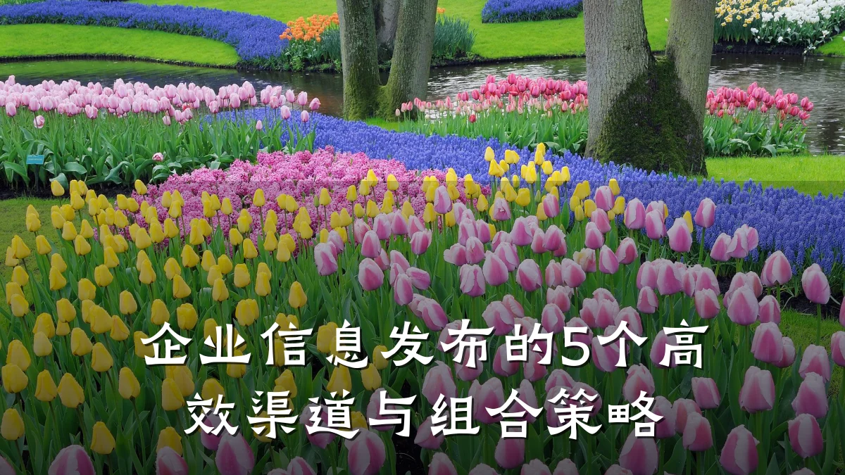 企业信息发布的5个高效渠道与组合策略