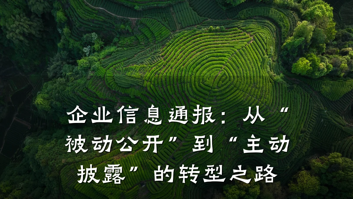 企业信息通报：从“被动公开”到“主动披露”的转型之路