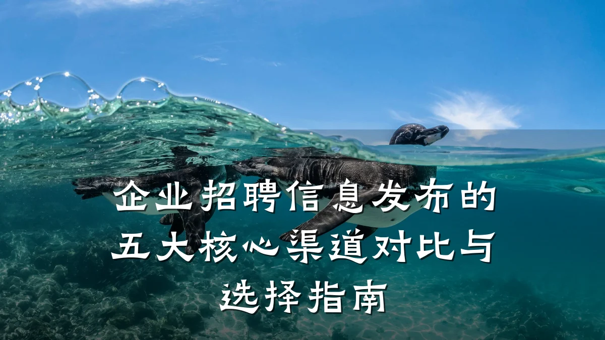 企业招聘信息发布的五大核心渠道对比与选择指南