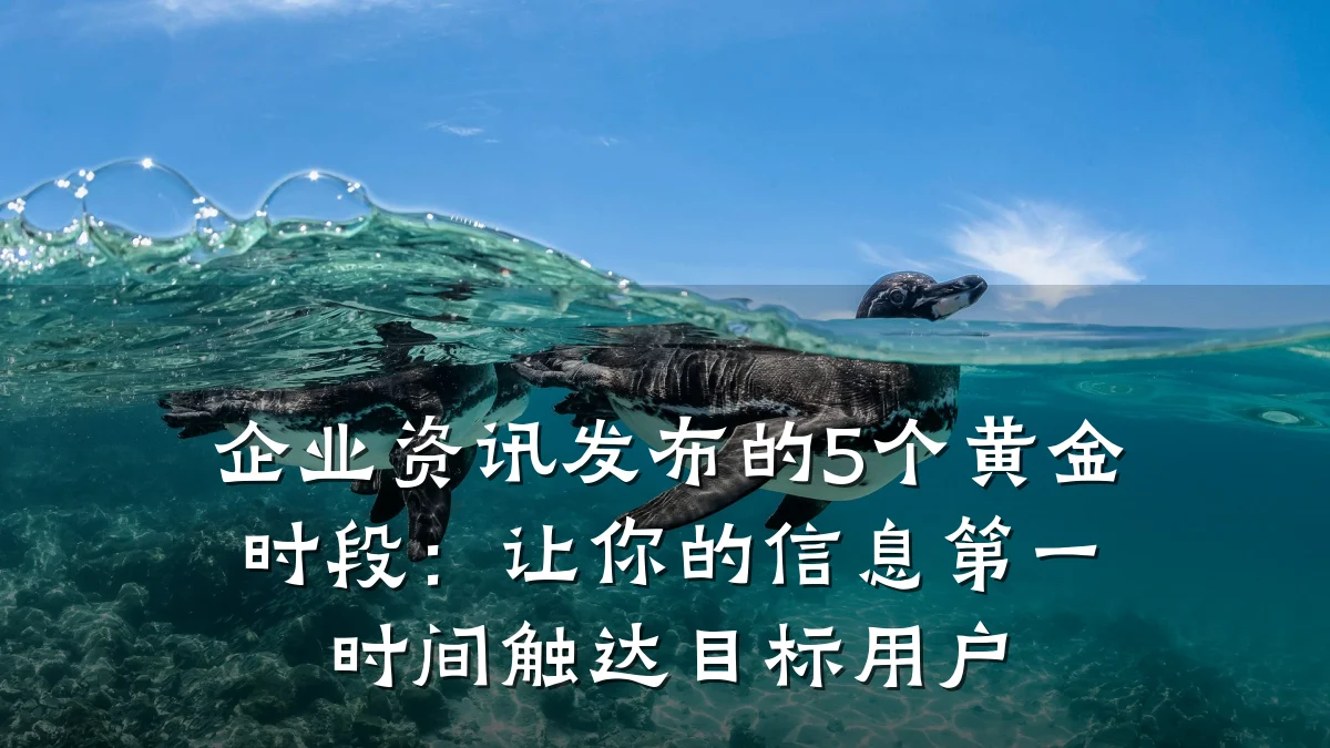 企业资讯发布的5个黄金时段：让你的信息第一时间触达目标用户